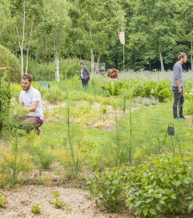 Our tourist attractions