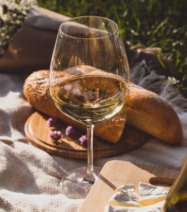 Wines and gastronomy