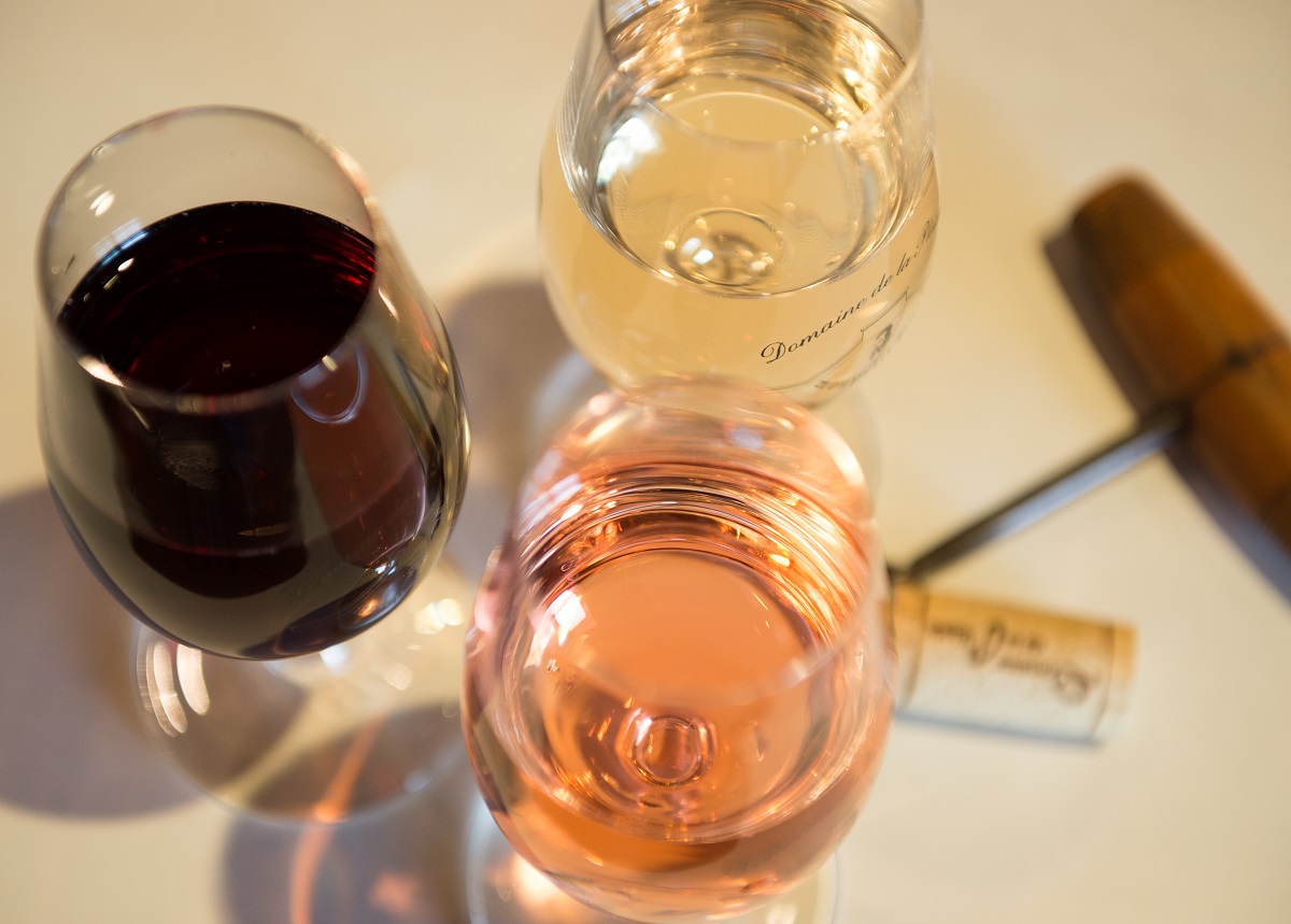 Wines in Anjou ©D.Drouet
