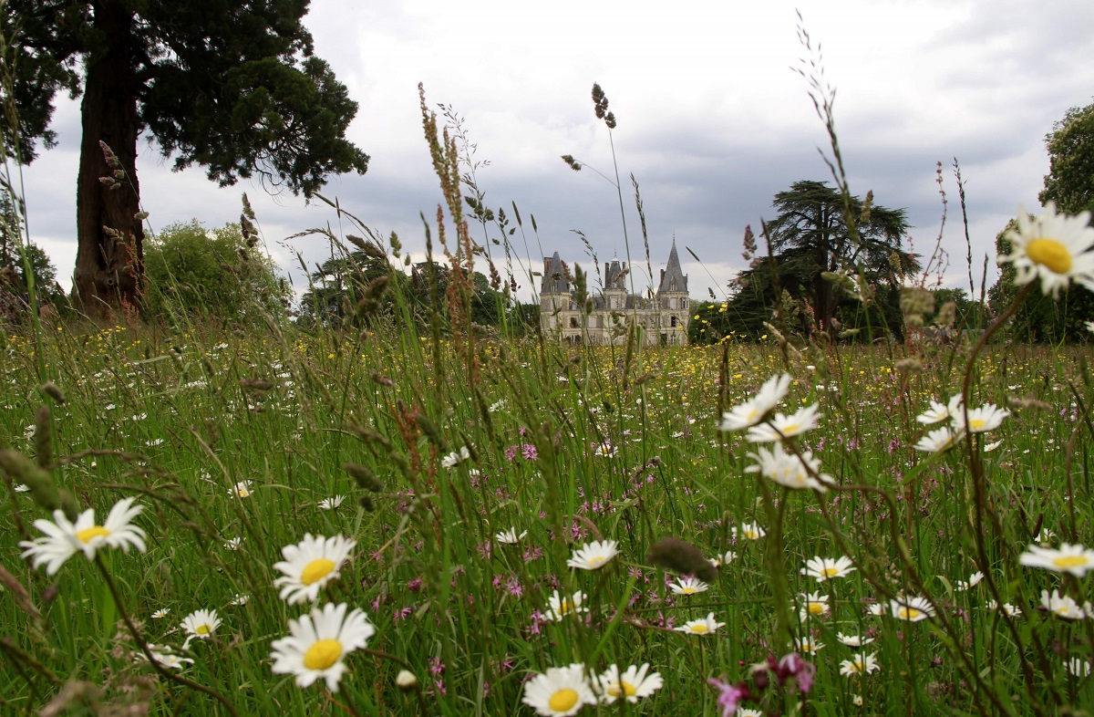Martreil Park ©YSC