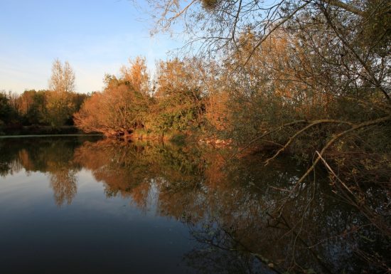 Boires de la Rompure et de la Nigaudière