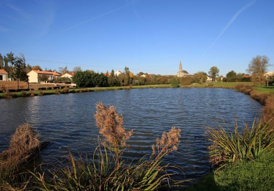 Randonnée “Grenet”