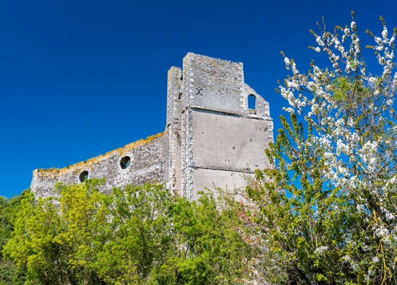 Carrière et four à chaux de Pincourt