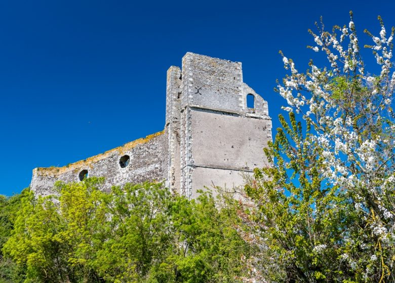 CARRIÈRE ET FOUR À CHAUX DE PINCOURT