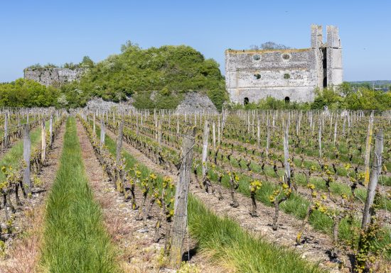 Excursion commentée : retour à l’époque des fours à chaux de Montjean-sur-Loire