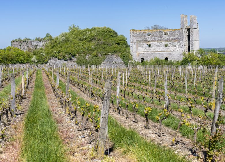 Excursion commentée : retour à l’époque des fours à chaux de Montjean-sur-Loire