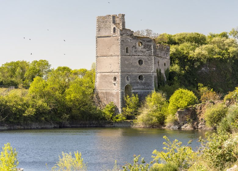 Déambulation sur les bords de Loire – entre nature et patrimoine