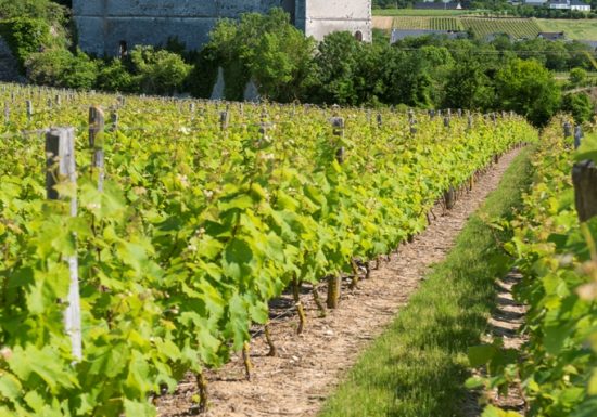 Carrière et four à chaux de Pincourt