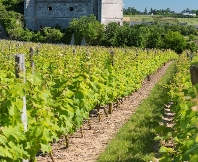 SENTIER DU RUISSEAU DES MOULINS