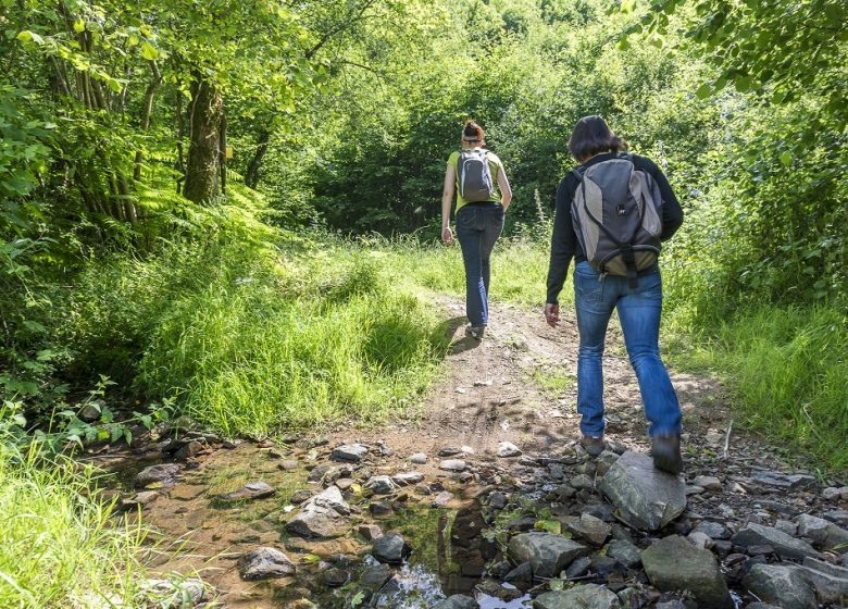 Randonnée nocturne à Saint Laurent-des-Autels
