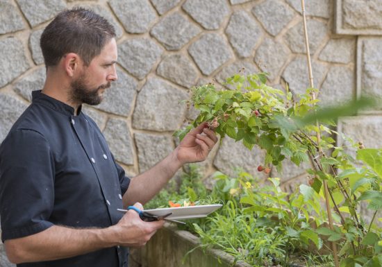 Atelier cuisine durable – Manger mieux, ensemble