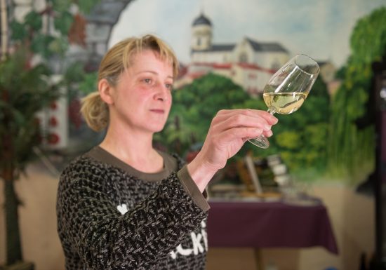 Domaine du Moulin Giron