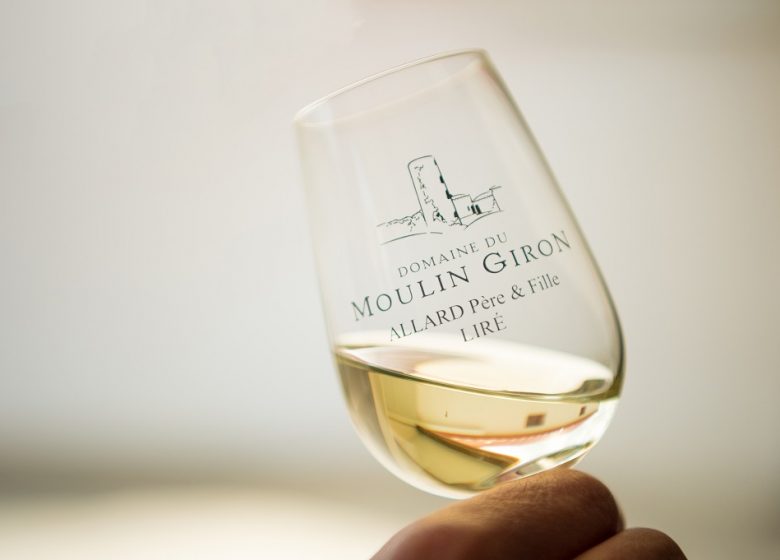 DOMAINE DU MOULIN GIRON