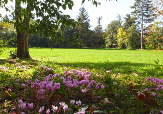 Balade historique “Quartier Saint-Pierre”