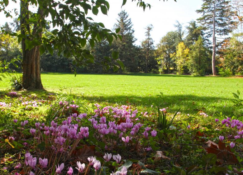 AIRE DE PIQUE DU PARC DU CHATEAU DES CLOITRES