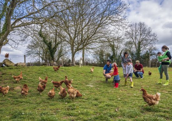 Lodges l’Étable des Mauges