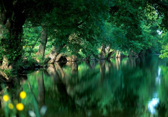 Aire de pique-nique + arrêt vélo à la Boire Sainte Catherine