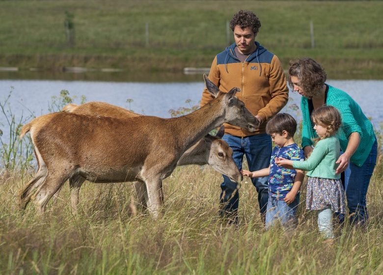 EARL Jacquet – Les Cerfs de la Fardellière