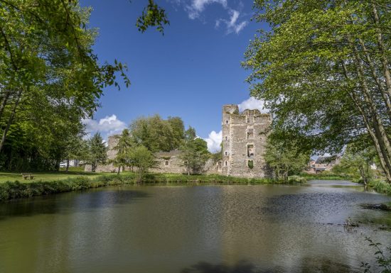Randonnée “Bois de Joué”