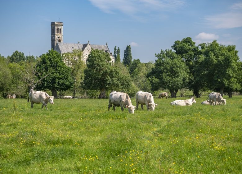 Sanctuaire Notre-Dame-du-Marillais