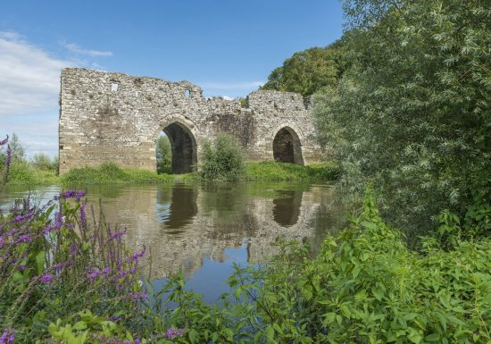 La Loire à Vélo, de Champtoceaux à Liré “Entre boire et histoire”