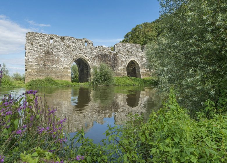 La Loire à Vélo, de Champtoceaux à Liré “Entre boire et histoire”