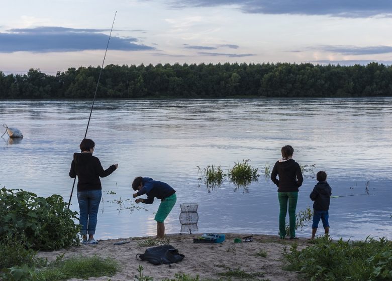 Pêche en Loire à Saint-Florent-le-Vieil