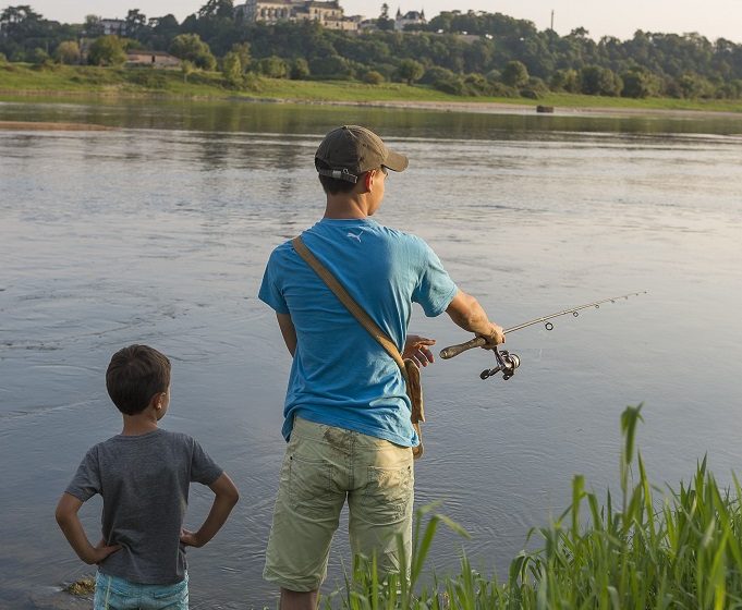 Pêche en Loire à Saint-Florent-le-Vieil