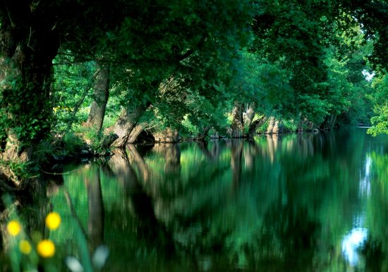 Pêche dans la Boire Sainte Catherine