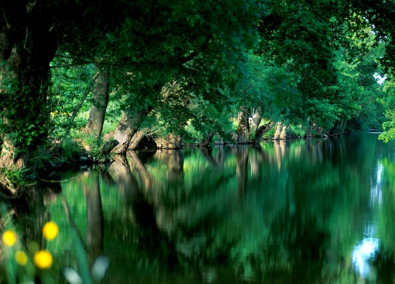 Pêche dans la Boire Sainte Catherine