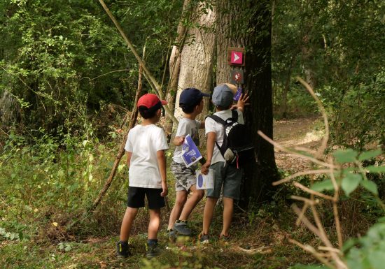 Chasse au trésor dans les vignes au Domaine des  Galloires