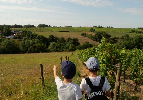 Chasse au trésor dans les vignes au Domaine des  Galloires