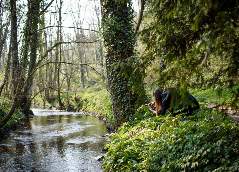 Atelier photo “Photographier le paysage”