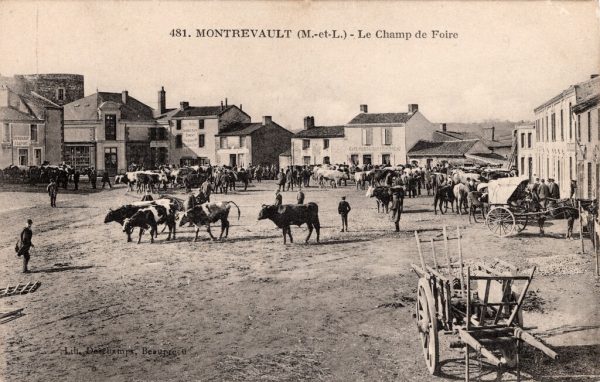 72 “cafés” à Montrevault, les jours de foires !