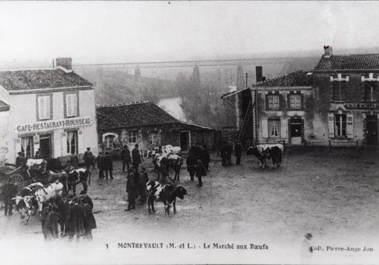 Carriole ou petit train ?