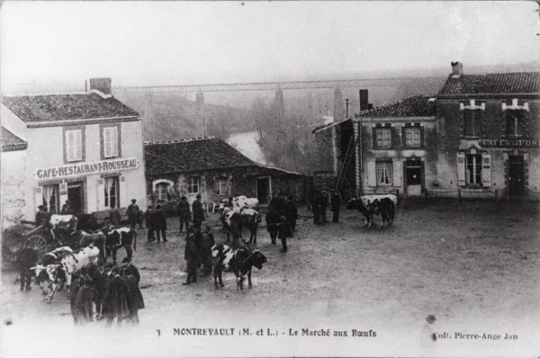 Carriole ou petit train ?