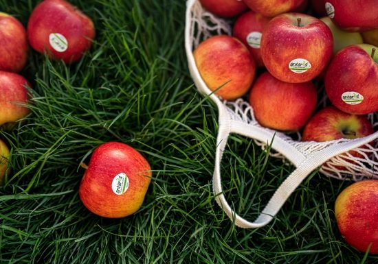 Le Verger de la Blottière