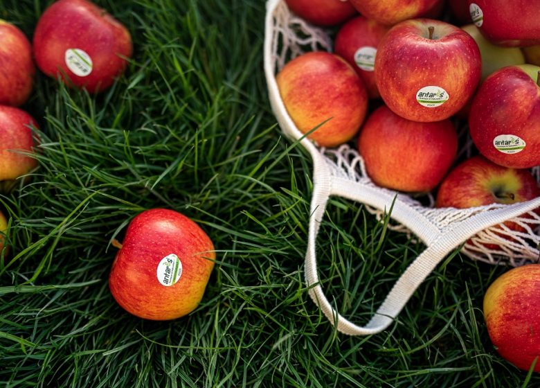 Le Verger de la Blottière