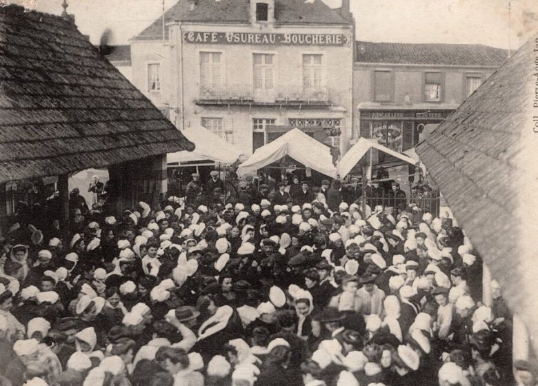 Balade historique à Montrevault et Saint-Pierre-Montlimart