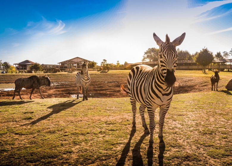 Zoo de la Boissière-du-Doré