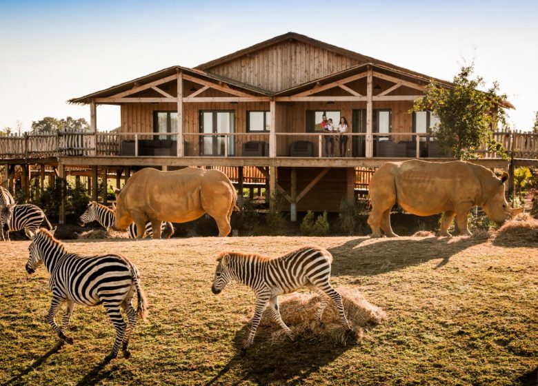 Africa Lodges – Zoo de la Boissière du Doré