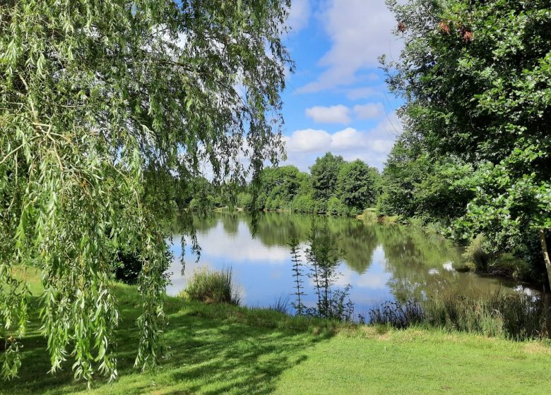 Aire de pique-nique Etang de Saint-Quentin-en-Mauges