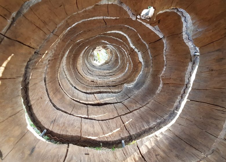 Journées Européennes du Patrimoine : Exposition “Contenir l’ouragan” à l’Abbaye de Saint-Florent-Vieil