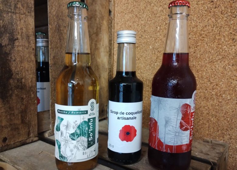 Micro-brasserie So’Tiz Ben’Craft