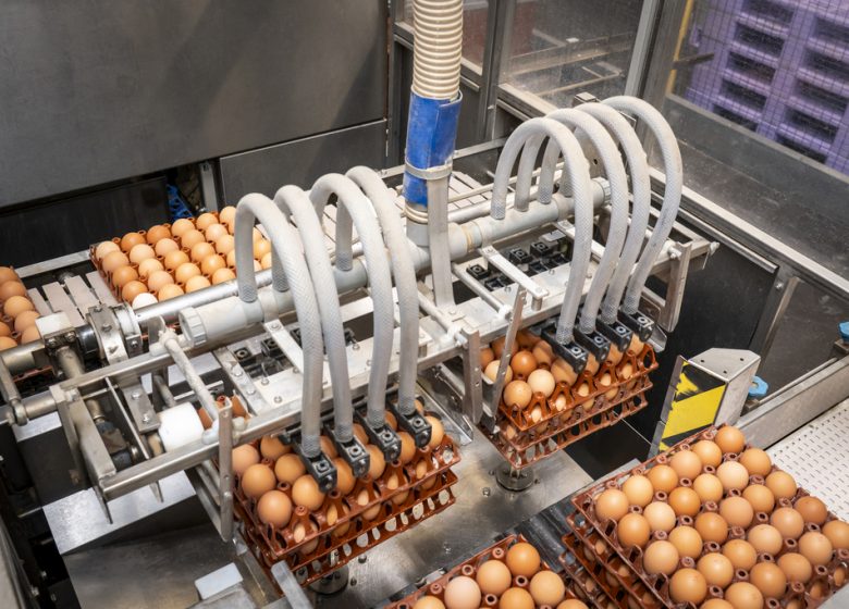 C’est quoi ton entreprise ? L’Oeuf des 2 Moulins