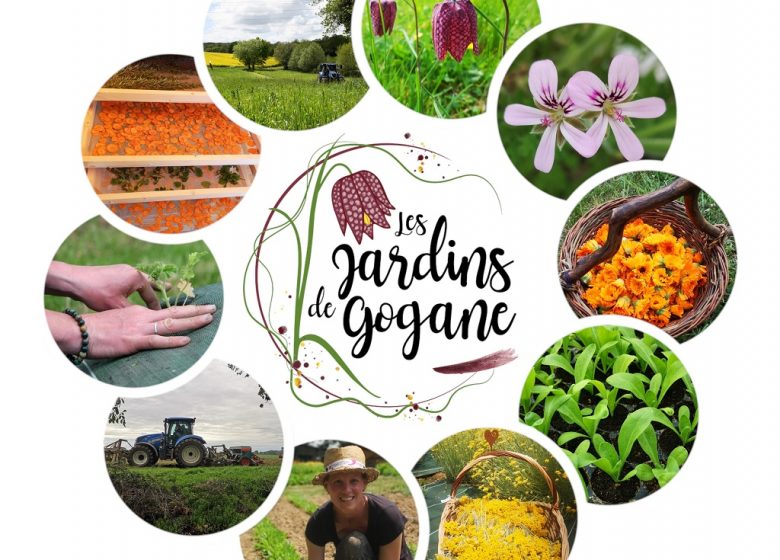 C’est quoi ton entreprise ? Les jardins de Gogane
