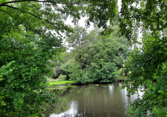 Aire de pique-nique de La Chapelle-Aubry