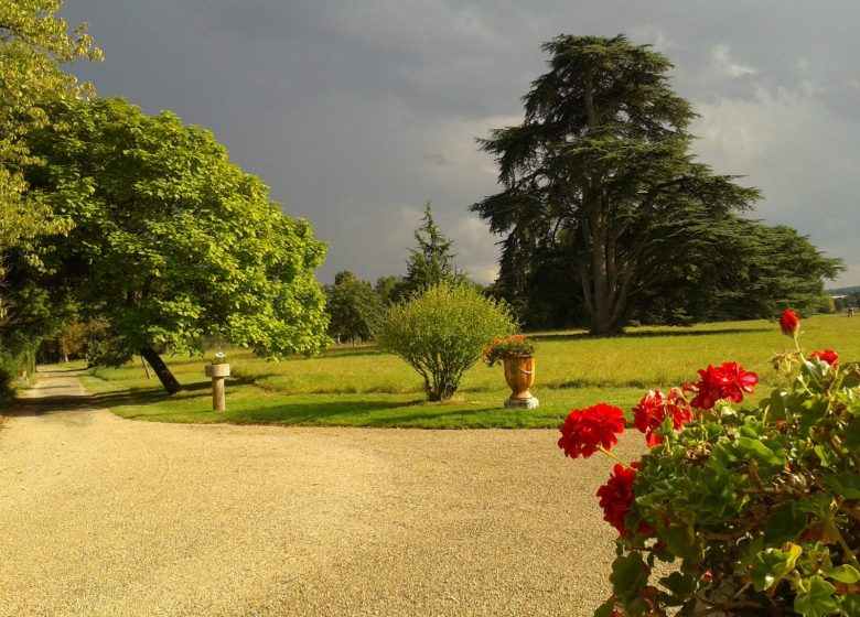 Parc du château du Martreil
