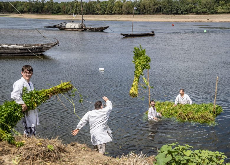 30 ème Festival De Fibres en Musique à Montjean-sur-Loire