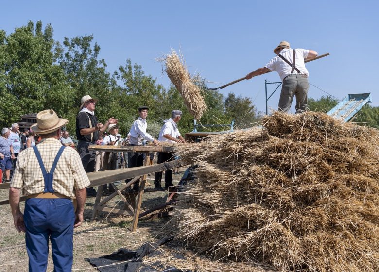 Fête Comme dans l’temps